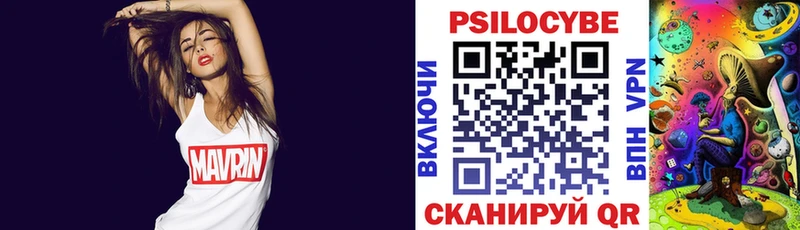 Галлюциногенные грибы Psilocybine cubensis  продажа наркотиков  Абинск 