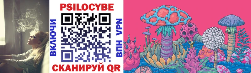 Галлюциногенные грибы Psilocybe Абинск
